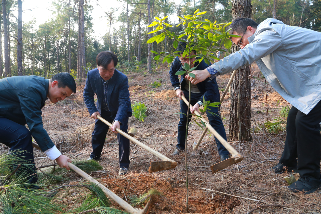 植樹育林 優化結構 将綠水青山轉化為金山銀山——陳繼達副董事長參加物産長樂春季植樹系列活動